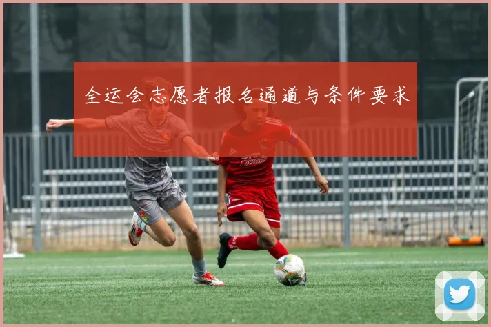 全运会志愿者报名通道与条件要求